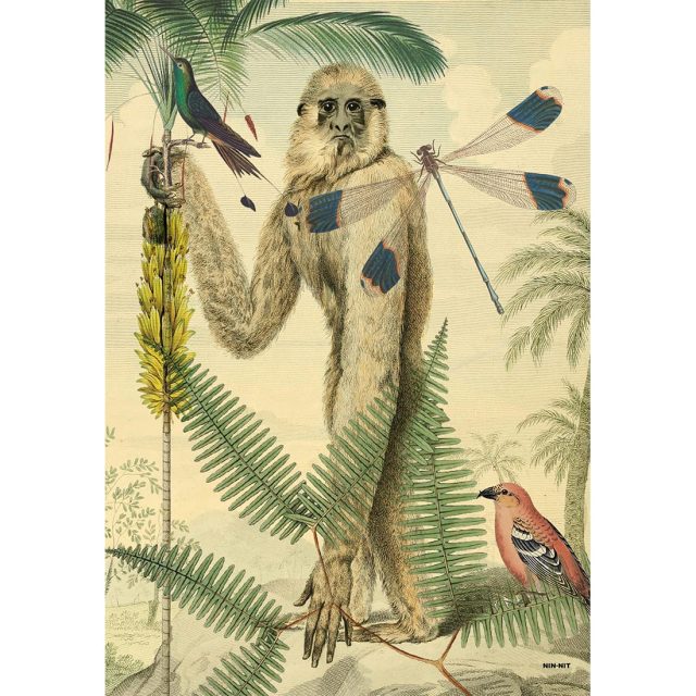 Showmodel Schilderij Gibbon