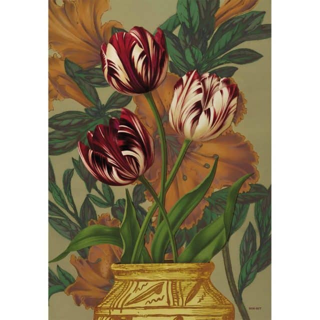 Showmodel Schilderij Late Tulips