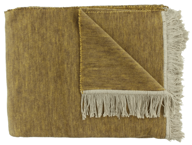 Plaid Paulos Bronze